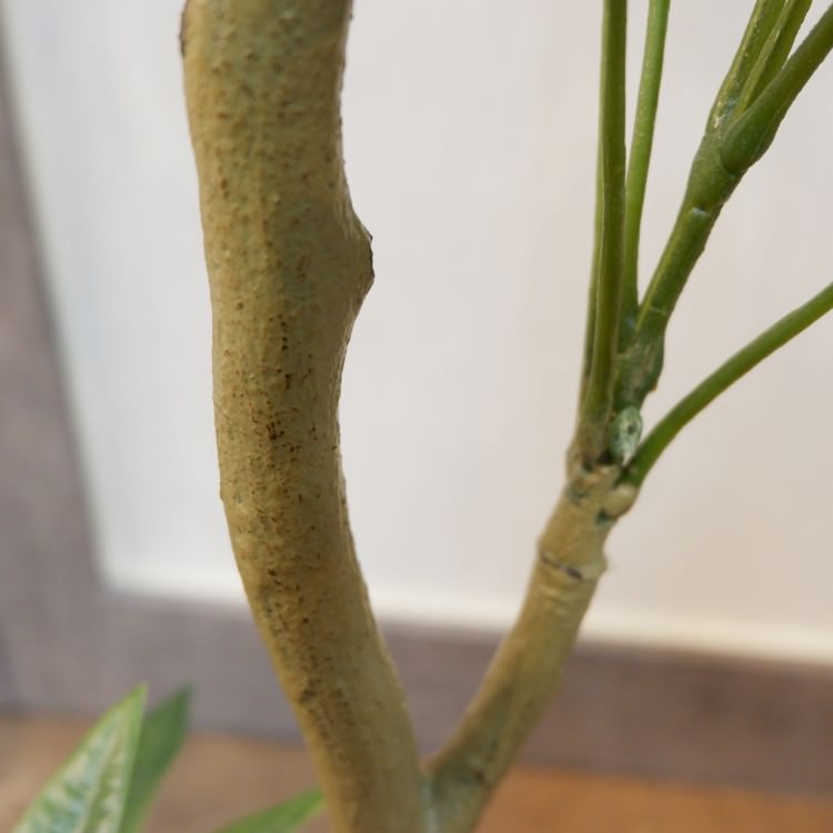 ѥݥå117cmVR22026 ƥե륰꡼ ͹տʪ ͹ ʰȭդ꡼