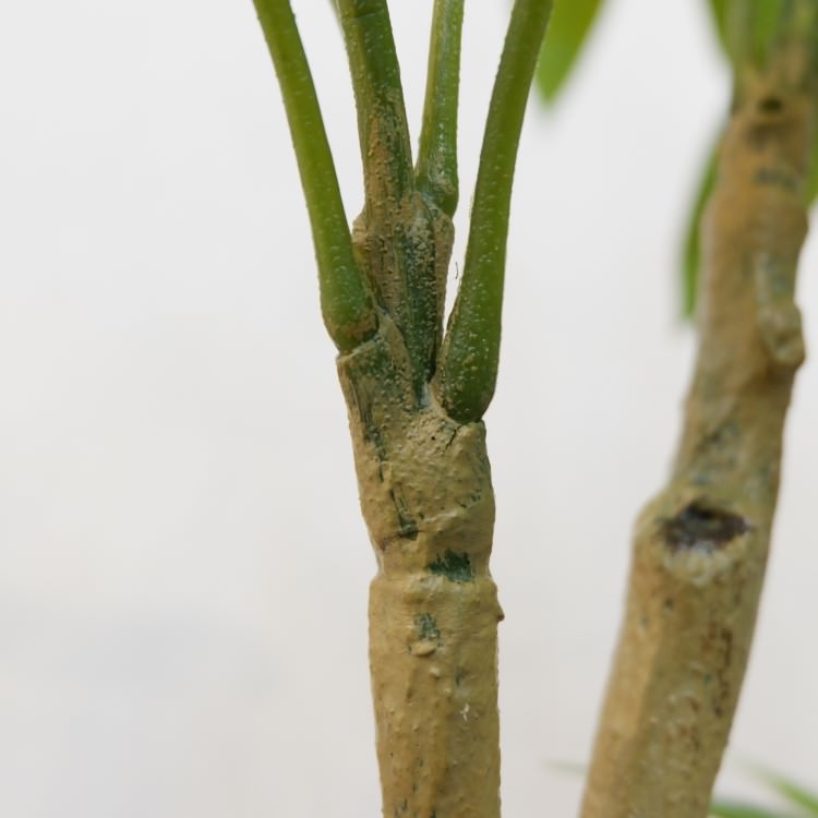 ѥݥå117cmVR22026 ƥե륰꡼ ͹տʪ ͹ ʰȭդ꡼