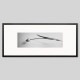 IGREBOW ���塼��åפβ֡�[���å� 1��3] ��������ܥ� ����ƥꥢ�ե��� �ԥ����㡼������ �̿�