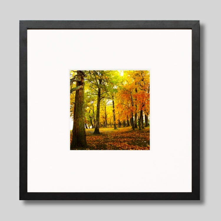 IGREBOW �̳�ƻ ���դ����ޤ�ƶ��С�[���å� 1��1] ��������ܥ� ����ƥꥢ�ե��� �ԥ����㡼������ �̿�