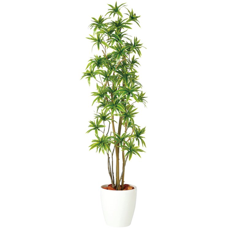 󥰡֡ǥ FST W60H180cmTK98900 ƥե륰꡼ ͹տʪ ͹ ȭդ꡼