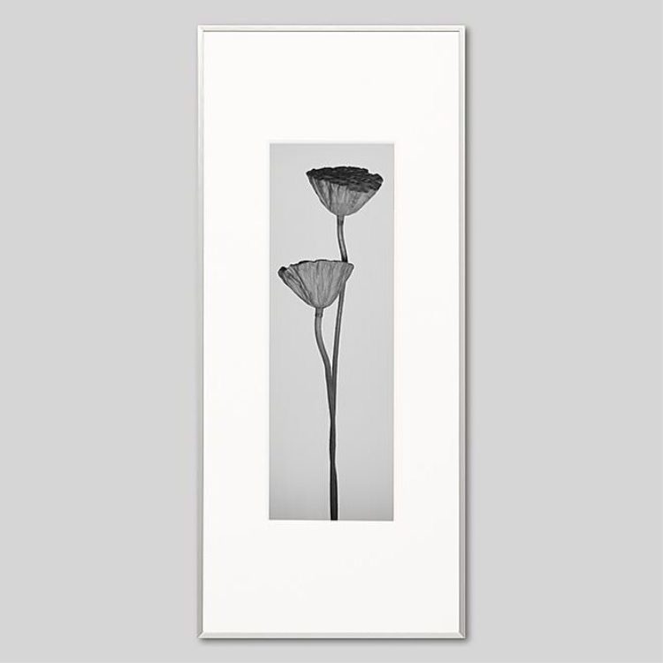 IGREBOW �ϥ��μ¡�[����� 1��3] ��������ܥ� ����ƥꥢ�ե��� �ԥ����㡼������ �̿�