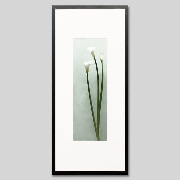 IGREBOW 顼β֡[å 13] ܥ ƥꥢե ԥ㡼 ̿