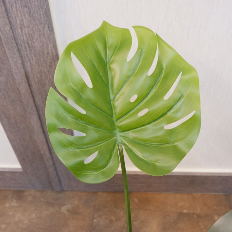 󥹥ƥݥå71cmVR22028 ƥե륰꡼ ͹տʪ ͹ ʰȭդ꡼