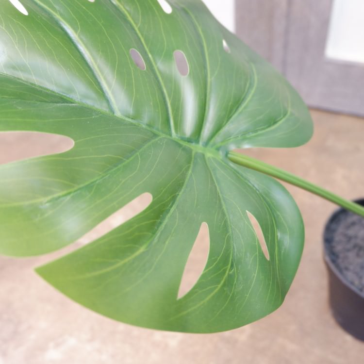 󥹥ƥݥå71cmVR22028 ƥե륰꡼ ͹տʪ ͹ ʰȭդ꡼