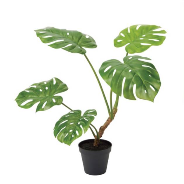 󥹥ƥݥå71cmVR22028 ƥե륰꡼ ͹տʪ ͹ ʰȭդ꡼