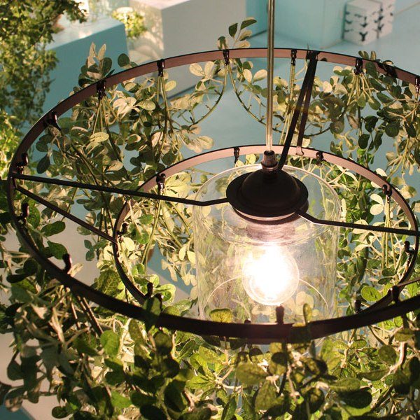 DI CLASSE(�ǥ�����å�)�Υڥ����ȥ��ס�Mini Foresti �ߥ˥ե��쥹�ƥ� ���꡼��