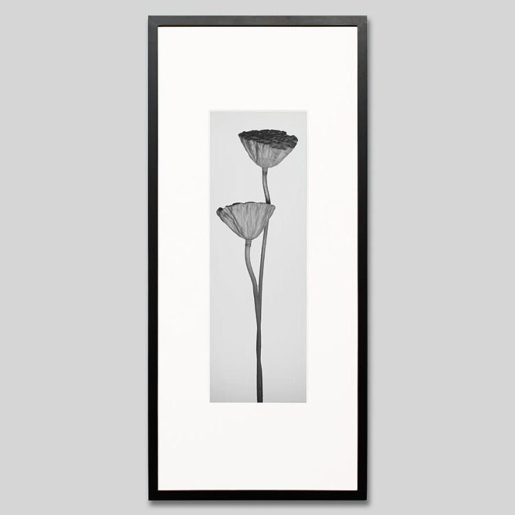 IGREBOW �ϥ��μ¡�[���å� 1��3] ��������ܥ� ����ƥꥢ�ե��� �ԥ����㡼������ �̿�