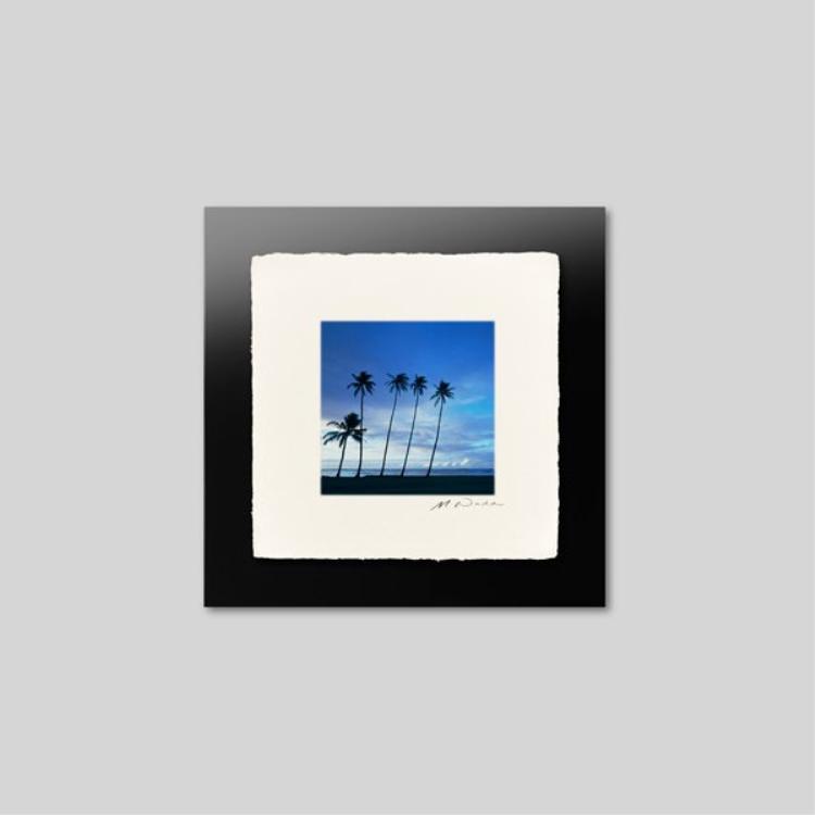 IGREBOW �ϥ磻 �������Υ��磻�����ӡ����Υ䥷���ڡ�[�»� 1��1] ��������ܥ� ����ƥꥢ�ե��� �ԥ����㡼������ �̿�