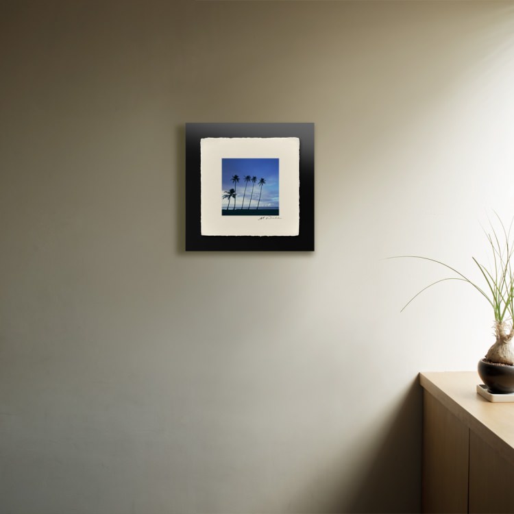 IGREBOW �ϥ磻 �������Υ��磻�����ӡ����Υ䥷���ڡ�[�»� 1��1] ��������ܥ� ����ƥꥢ�ե��� �ԥ����㡼������ �̿�