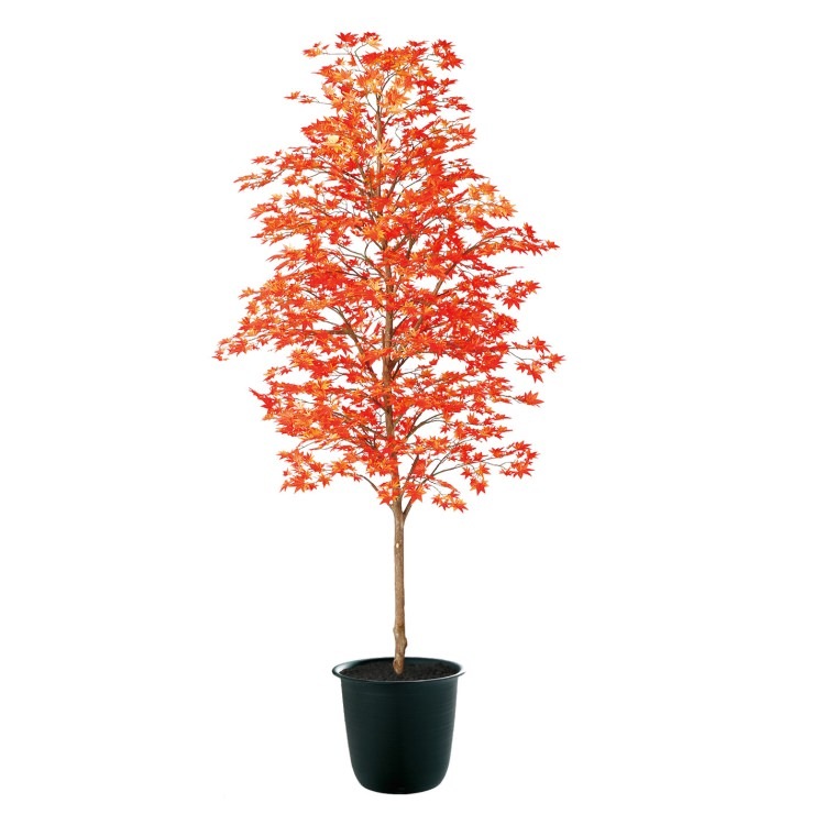 ��ޥ�ߥ� �� W90��H200cm��TK91774 �����ƥ��ե�����륰�꡼�� �͹����տ�ʪ �͹����� ȭ�դ����꡼��