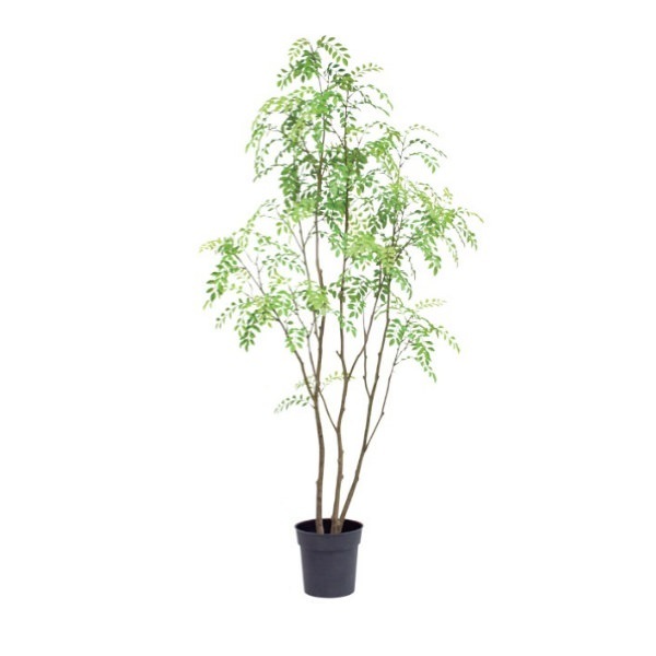 ޥȥͥꥳݥå152cmVR22029 ƥե륰꡼ ͹տʪ ͹ ʰȭդ꡼