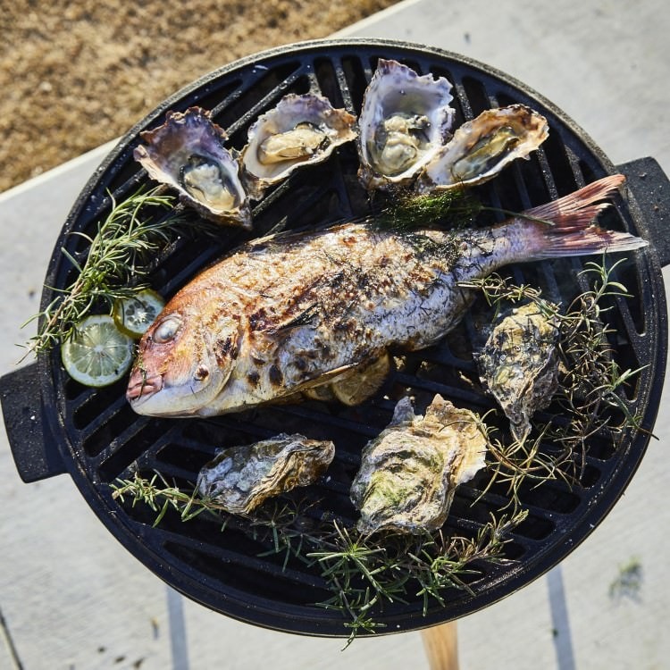 APLUS ORIGINAL(�����ץ饹���ꥸ�ʥ�) �ץ��åס�Prop ����� BBQ ����