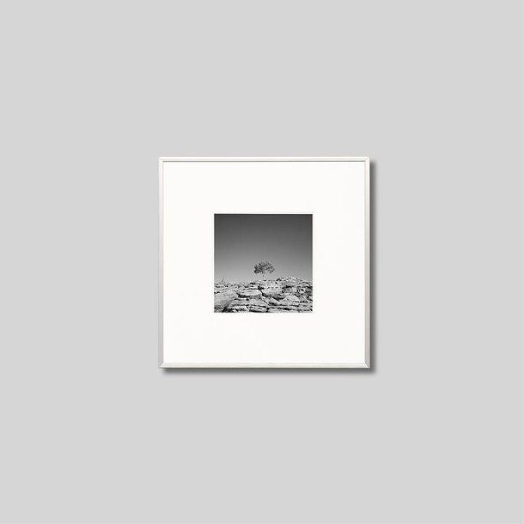 IGREBOW �������ȥ�ꥢ ���󥰥�����˥��� �仳��1�ܤ��ڡ�[����� 1��1] ��������ܥ� ����ƥꥢ�ե��� �ԥ����㡼������ �̿�