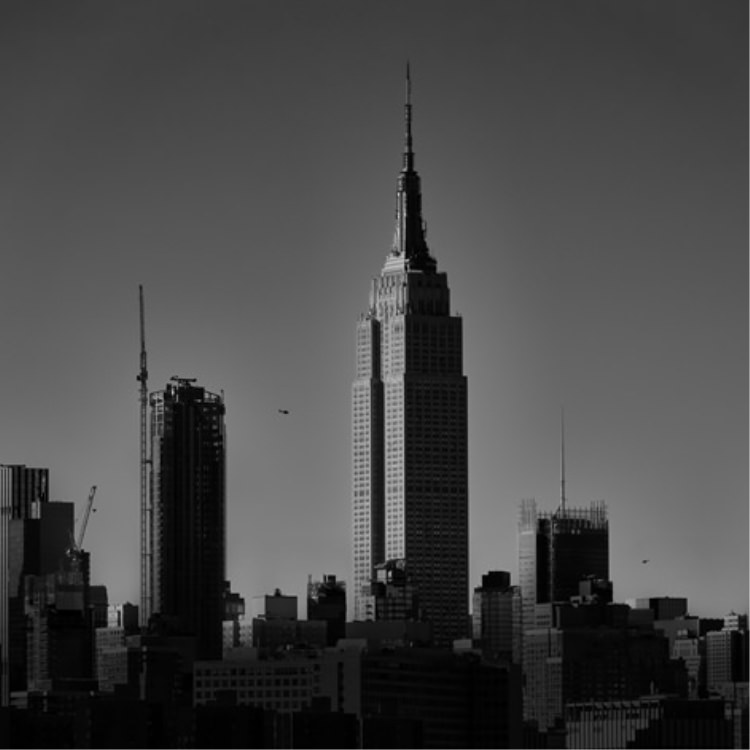 IGREBOW �˥塼�衼�� �ޥ�ϥå��� ����ѥ��䡼���ơ��ȥӥ��[�»� 1��1] ��������ܥ� ����ƥꥢ�ե��� �ԥ����㡼������ �̿�