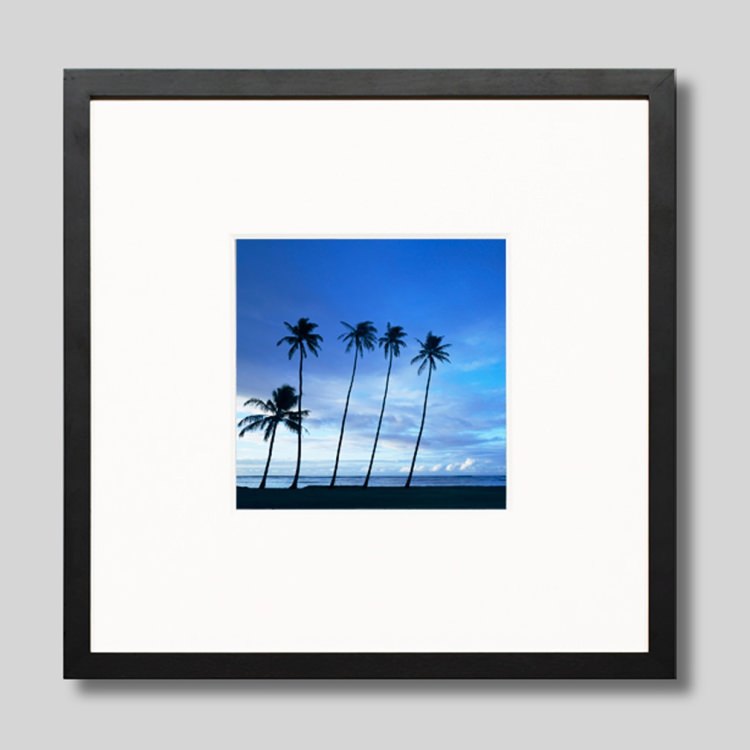 IGREBOW �ϥ磻 �������Υ��磻�����ӡ����Υ䥷���ڡ�[���å� 1��1] ��������ܥ� ����ƥꥢ�ե��� �ԥ����㡼������ �̿�