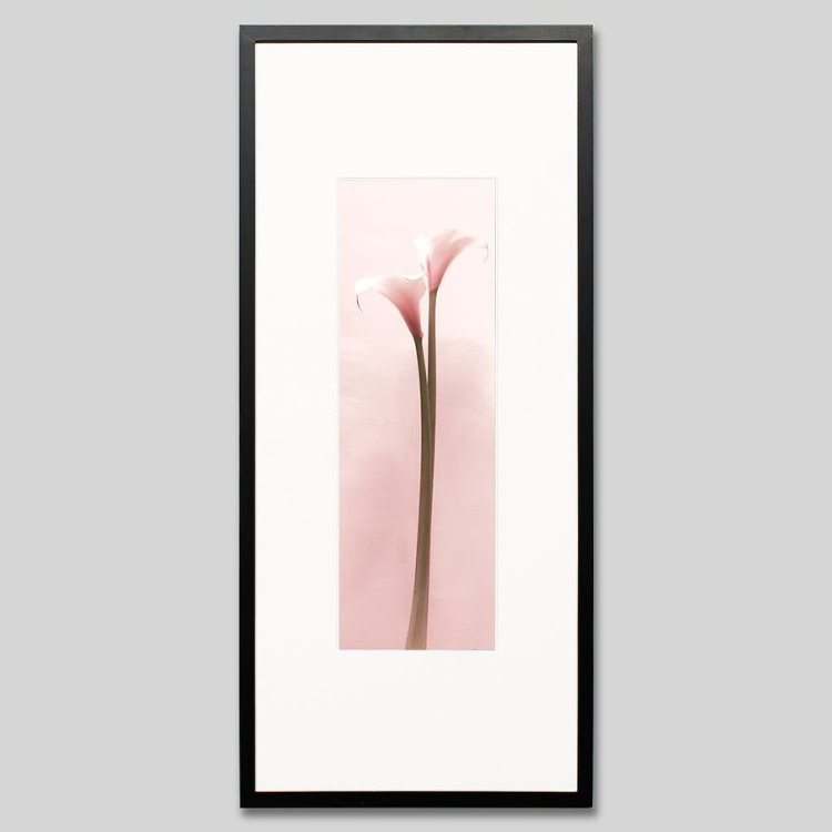 IGREBOW 顼β֡[å 13] ܥ ƥꥢե ԥ㡼 ̿