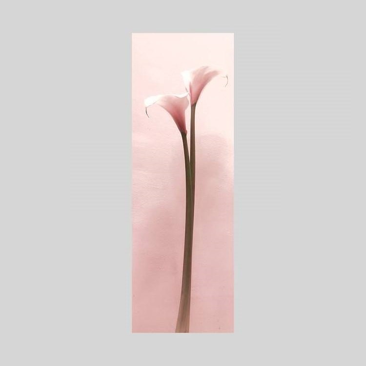 IGREBOW 顼β֡[å 13] ܥ ƥꥢե ԥ㡼 ̿