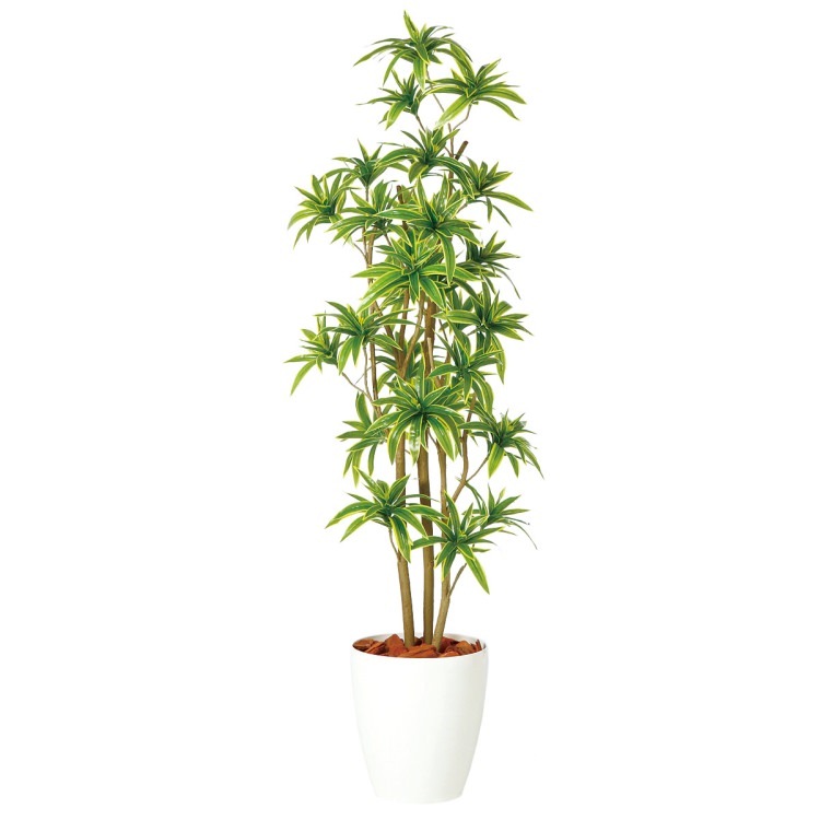 󥰡֡ǥ FST W50H135cmTK98905 ƥե륰꡼ ͹տʪ ͹ ȭդ꡼