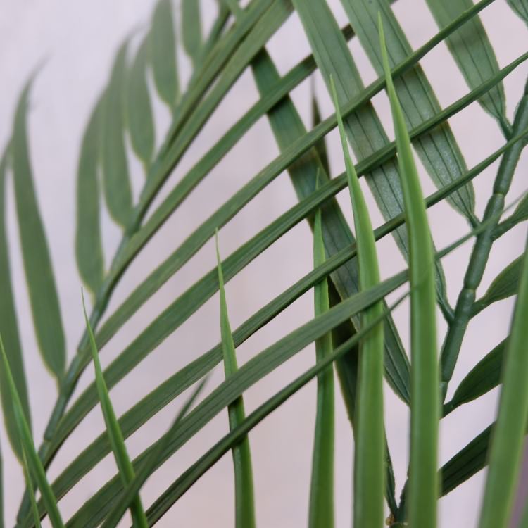 ե˥åѡݥå142cmVR22030 ƥե륰꡼ ͹տʪ ͹ ʰȭդ꡼