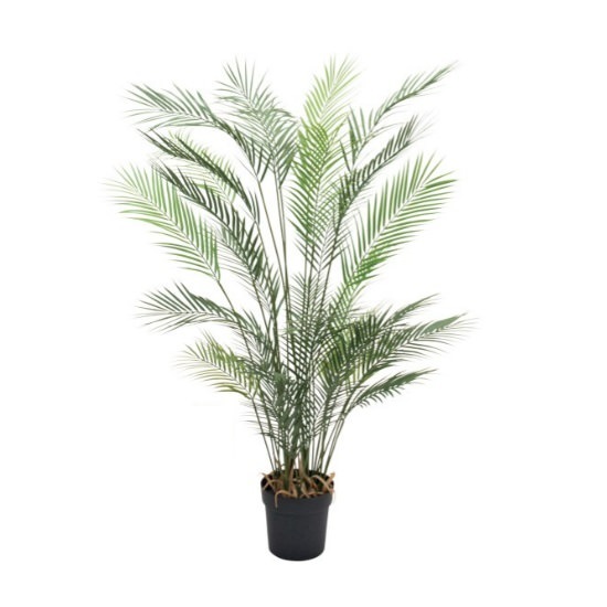 ե˥åѡݥå142cmVR22030 ƥե륰꡼ ͹տʪ ͹ ʰȭդ꡼