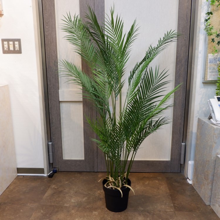 ե˥åѡݥå142cmVR22030 ƥե륰꡼ ͹տʪ ͹ ʰȭդ꡼