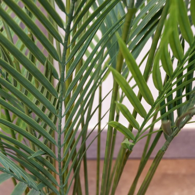 ե˥åѡݥå142cmVR22030 ƥե륰꡼ ͹տʪ ͹ ʰȭդ꡼