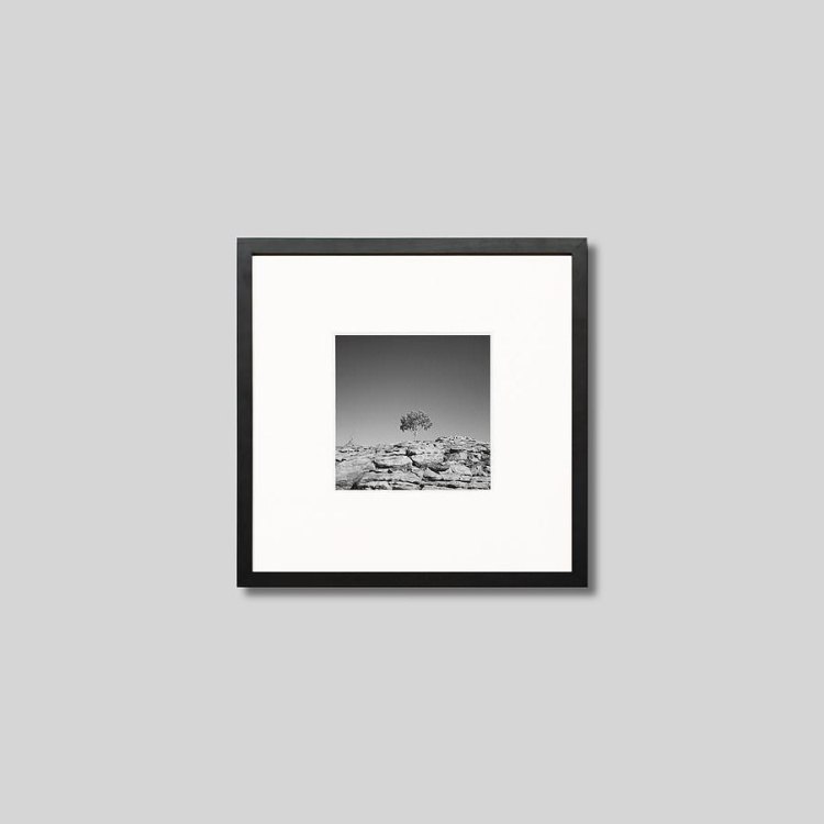 IGREBOW �������ȥ�ꥢ ���󥰥�����˥��� �仳��1�ܤ��ڡ�[���å� 1��1] ��������ܥ� ����ƥꥢ�ե��� �ԥ����㡼������ �̿�