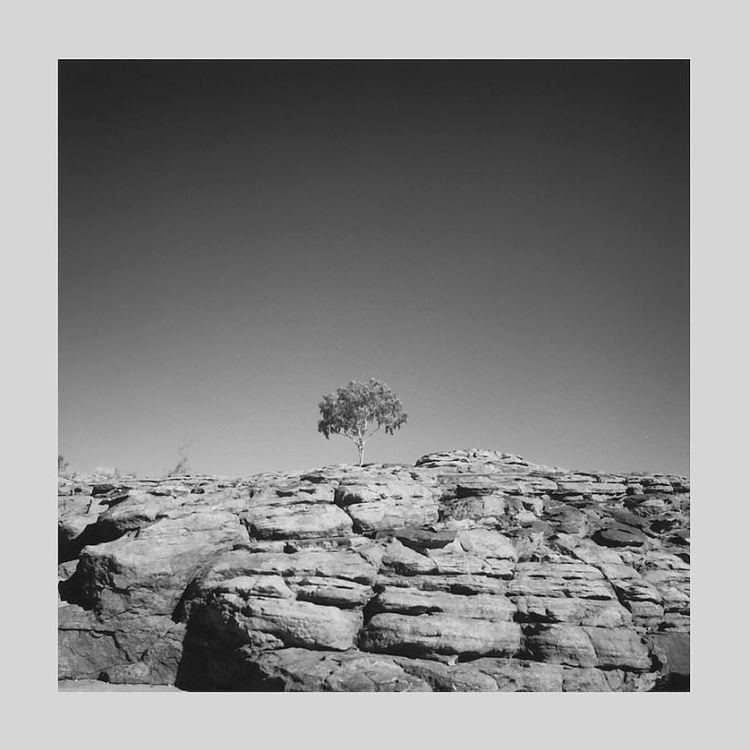 IGREBOW �������ȥ�ꥢ ���󥰥�����˥��� �仳��1�ܤ��ڡ�[���å� 1��1] ��������ܥ� ����ƥꥢ�ե��� �ԥ����㡼������ �̿�