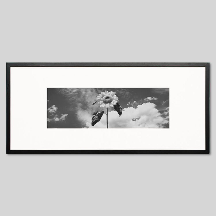 IGREBOW �Ҥޤ��β֡�[���å� 1��3] ��������ܥ� ����ƥꥢ�ե��� �ԥ����㡼������ �̿�