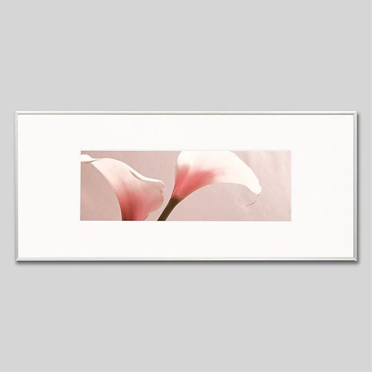 IGREBOW 顼β֡[ 13] ܥ ƥꥢե ԥ㡼 ̿