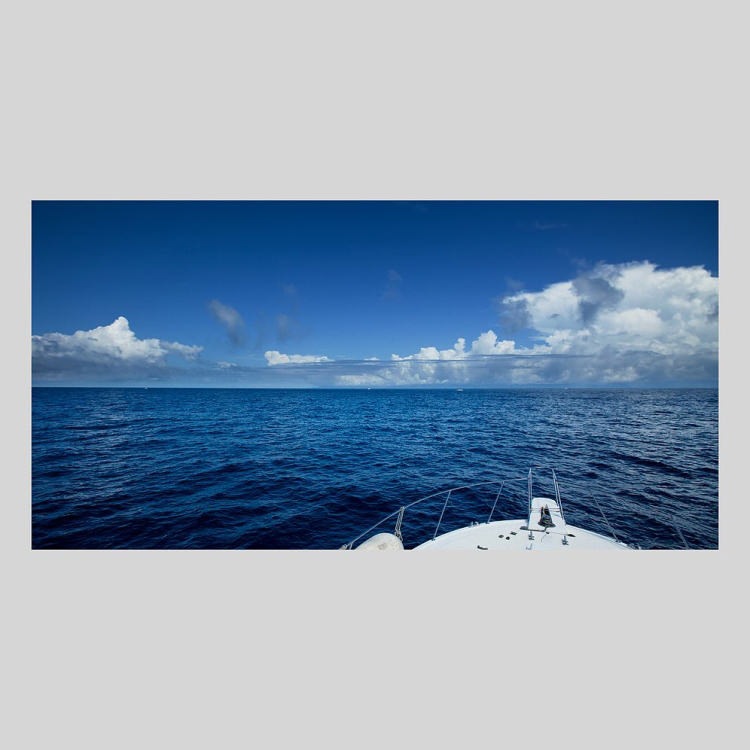 IGREBOW Ų Ĳ Ƥγ[ 12] ܥ ƥꥢե ԥ㡼 ̿