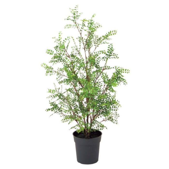 륯㥹ߥݥå102cmVR22031 ƥե륰꡼ ͹տʪ ͹ ʰȭդ꡼