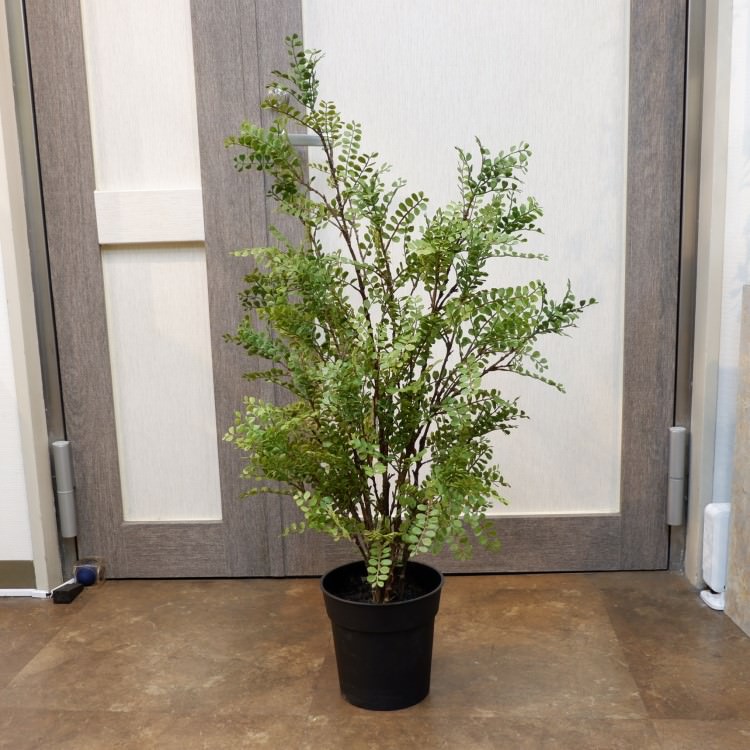 륯㥹ߥݥå102cmVR22031 ƥե륰꡼ ͹տʪ ͹ ʰȭդ꡼