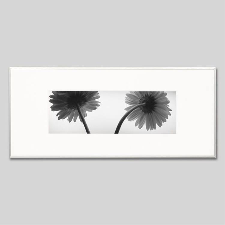 IGREBOW ٥β֡[ 13] ܥ ƥꥢե ԥ㡼 ̿