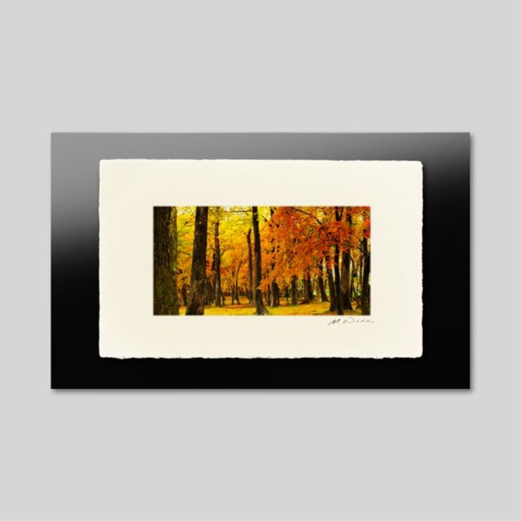 IGREBOW ̳ƻ դޤƶʡ[» 12] ܥ ƥꥢե ԥ㡼 ̿