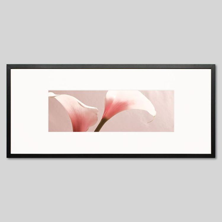 IGREBOW ���顼�β֡�[���å� 1��3] ��������ܥ� ����ƥꥢ�ե��� �ԥ����㡼������ �̿�