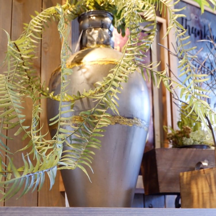 IRON VASE ١ ӡòͥǥץ쥤ߥ塼 PED-0033 ƥꥢ