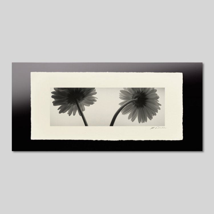 IGREBOW �����٥��[�»� 1��3] ��������ܥ� ����ƥꥢ�ե��� �ԥ����㡼������ �̿�