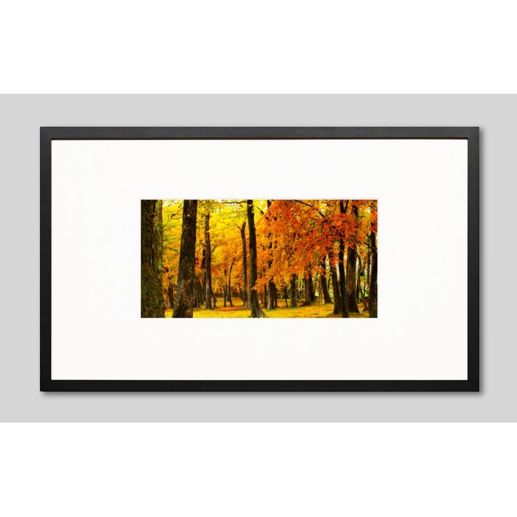 IGREBOW ̳ƻ դޤƶʡ[å 12] ܥ ƥꥢե ԥ㡼 ̿