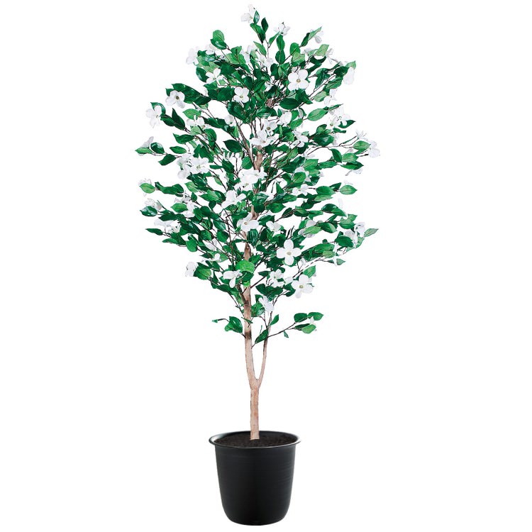 ϥʥߥ W80H180cmTK91781 ƥե륰꡼ ͹տʪ ͹ ȭդ꡼ [ٻ̤]