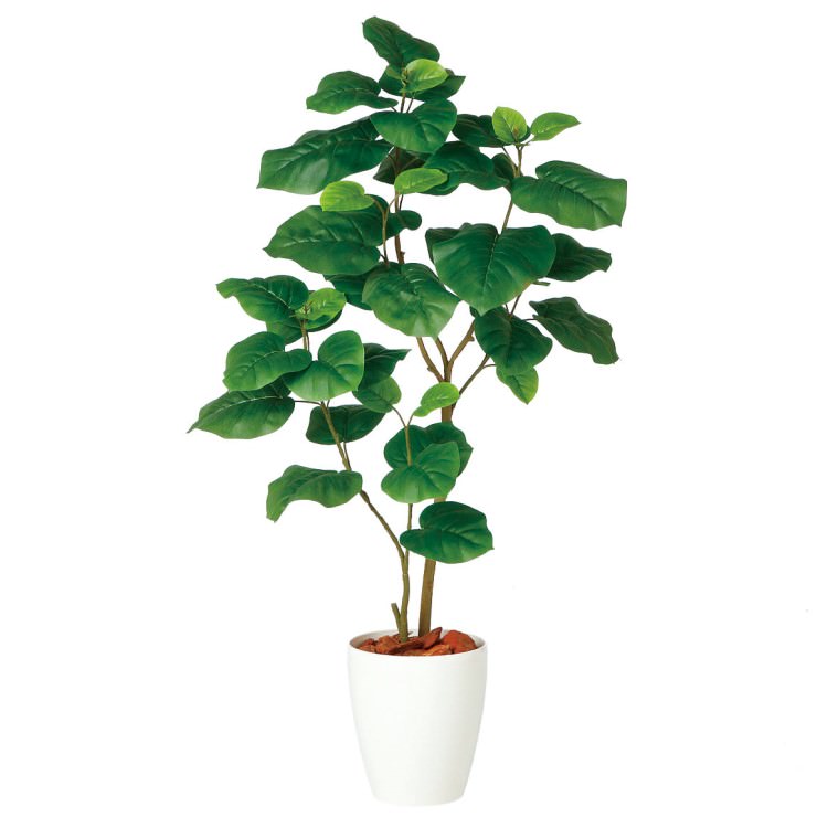 ٥顼Ω FST W60H120cmTK98920 ƥե륰꡼ ͹տʪ ͹ ȭդ꡼