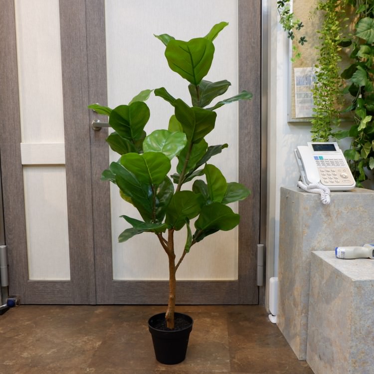 Хݥå117cmVR22033 ƥե륰꡼ ͹տʪ ͹ ʰȭդ꡼