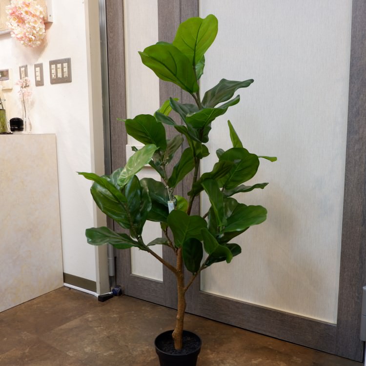 Хݥå117cmVR22033 ƥե륰꡼ ͹տʪ ͹ ʰȭդ꡼