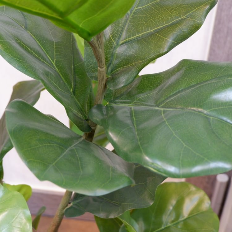 Хݥå117cmVR22033 ƥե륰꡼ ͹տʪ ͹ ʰȭդ꡼