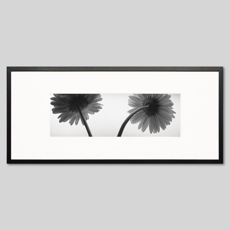 IGREBOW �����٥�β֡�[���å� 1��3] ��������ܥ� ����ƥꥢ�ե��� �ԥ����㡼������ �̿�