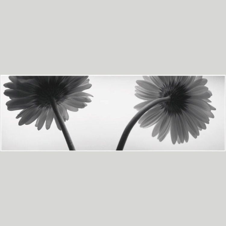 IGREBOW �����٥�β֡�[���å� 1��3] ��������ܥ� ����ƥꥢ�ե��� �ԥ����㡼������ �̿�