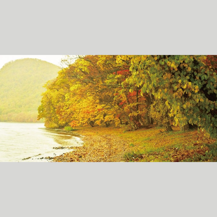 IGREBOW ̳ƻ դޤƶʡ[ 12] ܥ ƥꥢե ԥ㡼 ̿