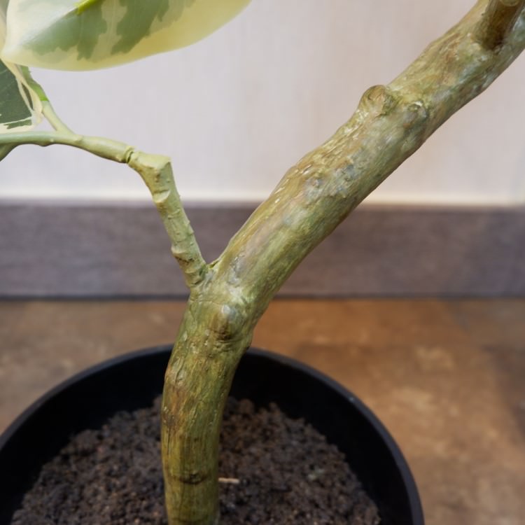 ĥȥƥޥݥå122cmVR22038 ƥե륰꡼ ͹տʪ ͹ ʰȭդ꡼