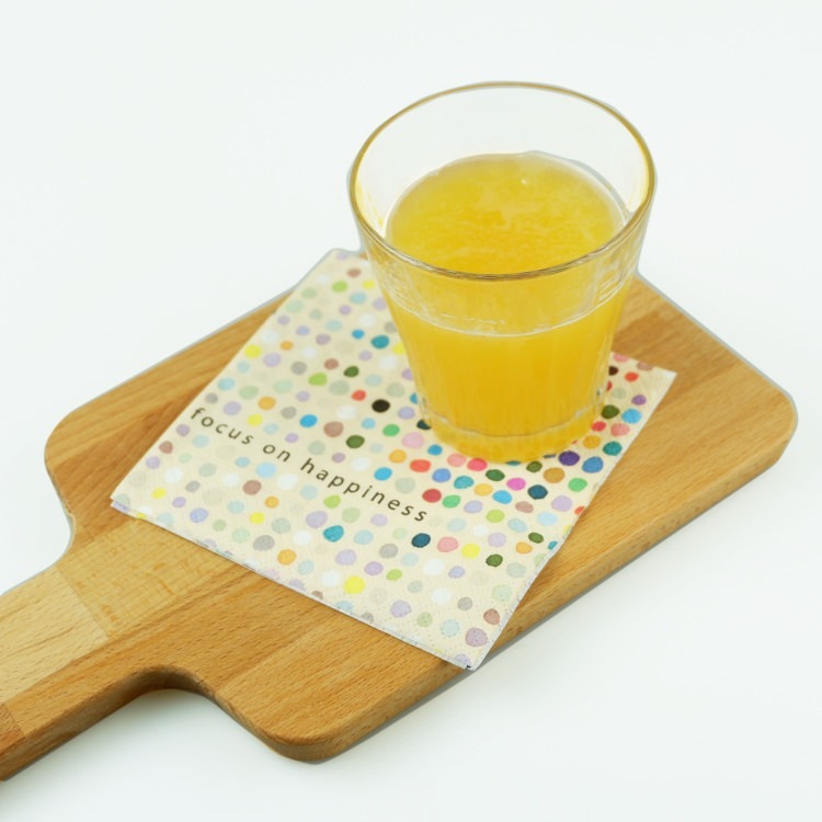 �����ƥ�ʥץ���(20����)25x25cm PAPER+DESIGN �ɥå� �ϥԥͥ� CN0742 [�߸�ͭ��]